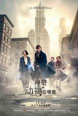 【4K原盘】神奇动物在哪里 Fantastic Beasts and Where to Find Them