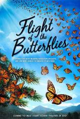 【4K原盘】帝王蝶的迁徙 Flight of the Butterflies