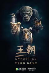 【4K原盘】BBC：王朝 第一季 Dynasties