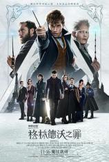 【3D原盘】神奇动物：格林德沃之罪 Fantastic Beasts: The Crimes of Grindelwald