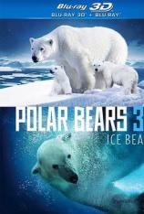 北极熊 Polar Bears 3D