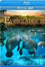 【3D原盘】冒险大沼泽地：水晶河海牛 Adventure Everglades