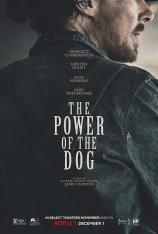 【4K原盘】犬之力 The Power of the Dog