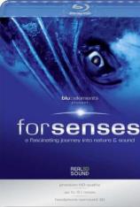 Forsenses示范碟 Forsenses - A Fascinating Journey into Nature & Sound