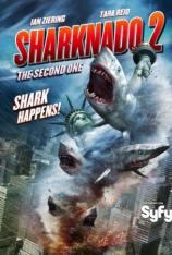 鲨从天降2：再来一次 Sharknado 2: The Second One