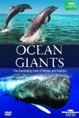 【3D原盘】海洋巨物 "Ocean Giants"