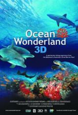 【3D原盘】海洋仙境 Ocean Wonderland