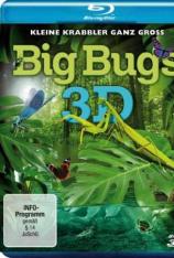 【3D原盘】昆虫 Big Bugs