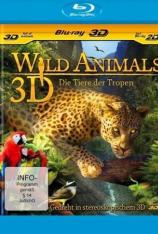 【3D原盘】野生动物：丛林中的生命 Wild Animals - The Life of the Jungle