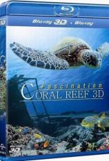 【3D原盘】魅力珊瑚礁3D：猎人和猎物 第一集 Fascination Coral Reef 2011 Mysterious Worlds Underwater part1