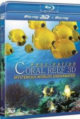 【3D原盘】魅力珊瑚礁3D：猎人和猎物 第二集 Fascination Coral Reef part2