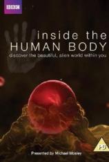 BBC：人体奥秘 "Inside the Human Body"